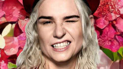 Haai